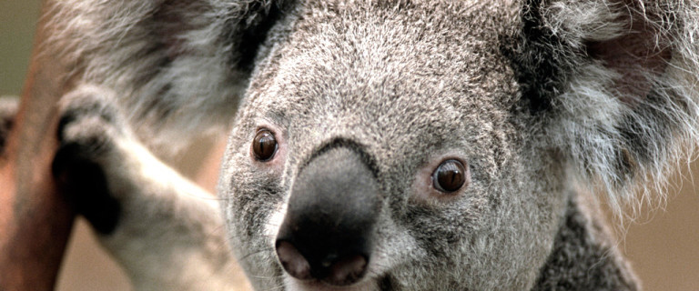 曜日指定テスト３