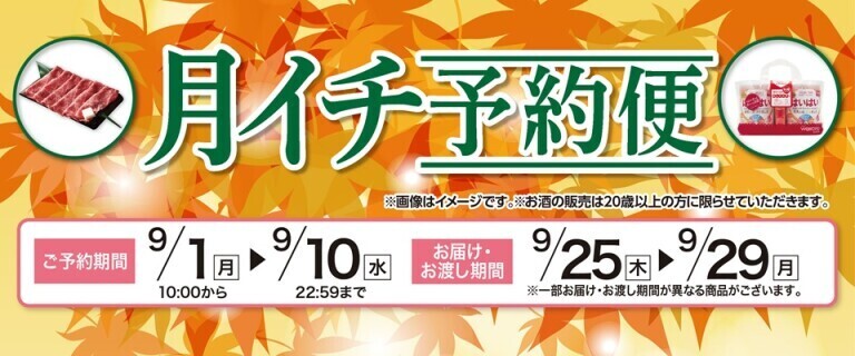 【イオンネットスーパー】月イチ予約便