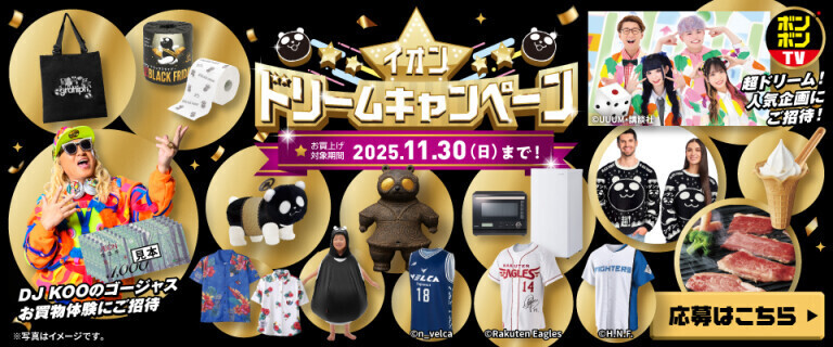 イオン ドリームキャンペーン開催中！