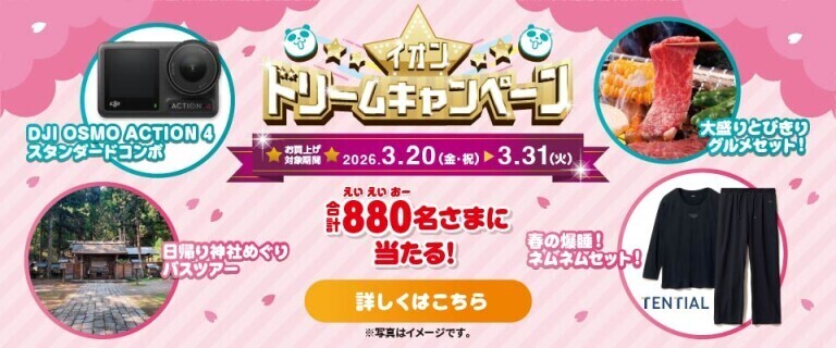 レシートで応募！イオンドリームキャンペーン