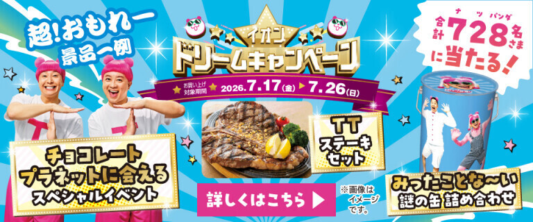 レシートで応募！イオンドリームキャンペーン