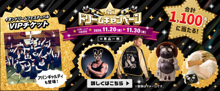 イオンドリームキャンペーン 11月20日(金)から開催！