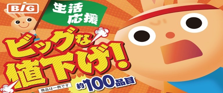 ザ ビッグ小田原寿町店 お買物情報やお得なチラシなど